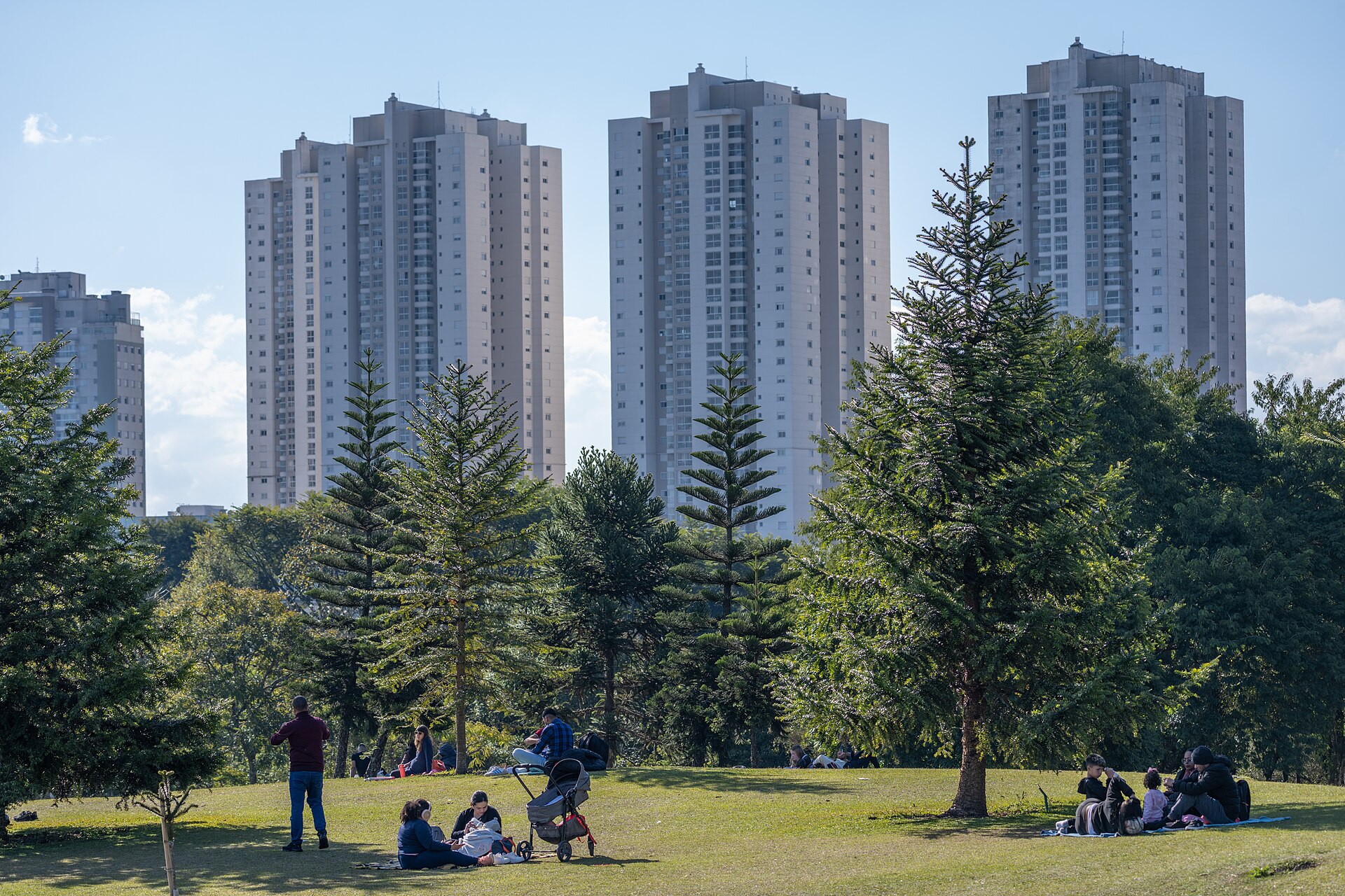 Jardim Botânico de Curitiba com a cidade ao fundo